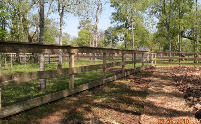 Wooden Fences67