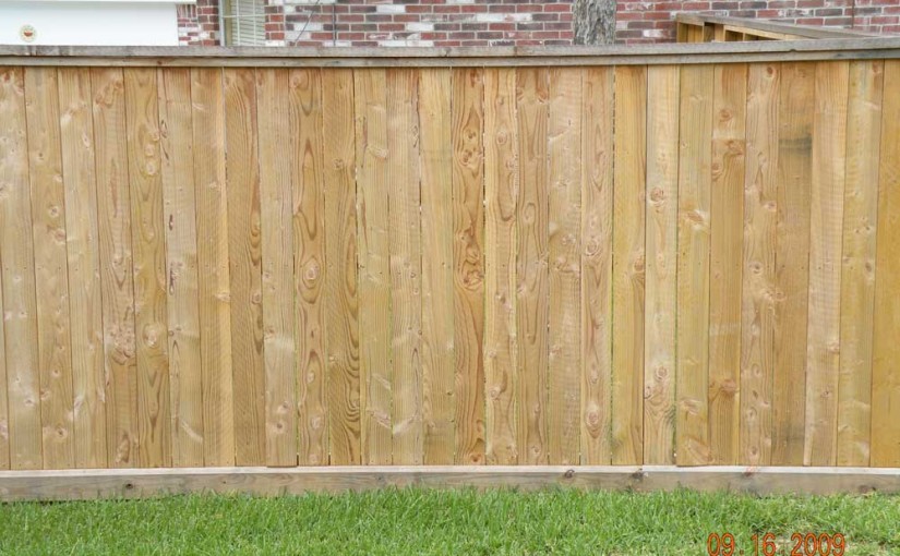 Wooden Fences8