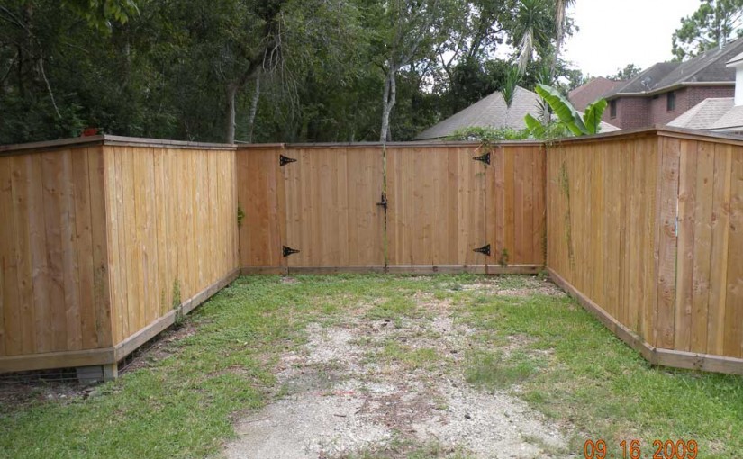 Wooden Fences9
