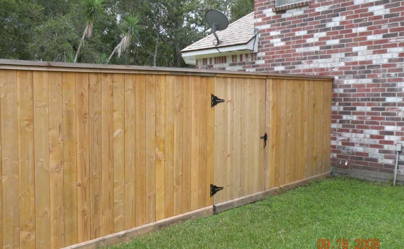Wooden Fences11